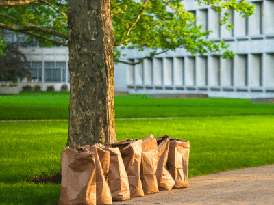 Yard Waste Fees Yard Waste
